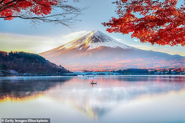 Japan takes glamping to new heights: It’s a long way to go, but these posh tents have wine cellars, hot springs and views of Mount Fuji