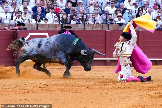Spain… in all its gory glory: Inside bullfighting mecca Andalucia, including a stay in a ranch that breeds top-class bulls for the ring