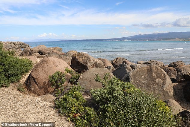Want to get married naked? Officials back beach on Italian island of Sardinia as venue for nude weddings