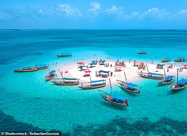 Carts pulled by cows. Frolicking monkeys. And shores of the purest white sand: Exploring the delights of Zanzibar