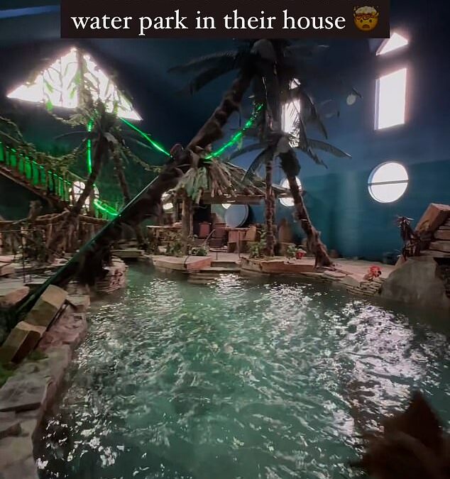 Couple divide critics after installing incredible aquapark inside their home complete with a pool, jacuzzi, palm trees and a WATERFALL… so would YOU want one?