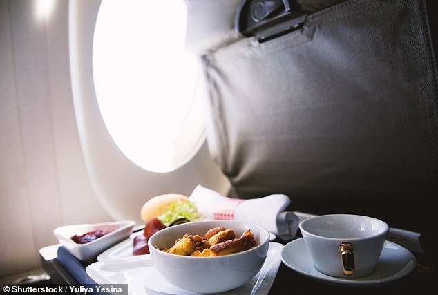I’m a travel writer and here’s why I secretly LOVE plane food – even the stodgy pasta and mysterious meat
