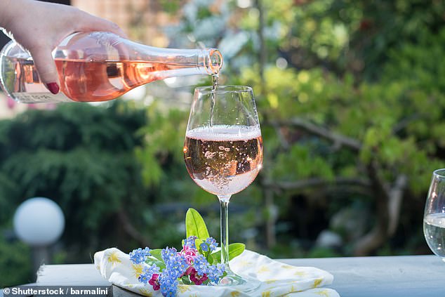 Is YOUR rosé too cold? Report claims pink wine should be taken out of the fridge up to half an hour before drinking – because low temperature mutes its fruity flavours