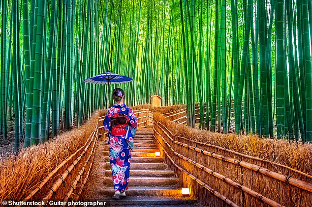 Japan at its most divine: These 10 heavenly gardens are sanctities of nature – and will make your spirits soar