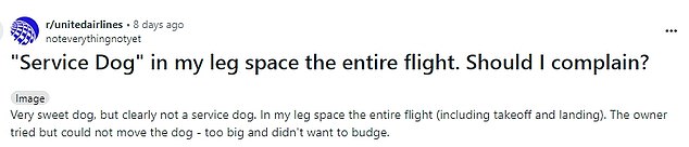 Plane passenger sparks fierce debate after complaining about a ‘service dog’ being in their leg space for the entire flight