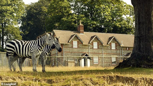 Twenty-four hours at Longleat: Safari with the children without needing your passport (just watch out for those monkeys)