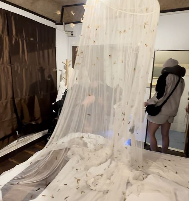 Woman’s hotel nightmare after her room is invaded by ‘2,000 moths’ and a ‘killer snake’ when she opened her door for ‘a split second’