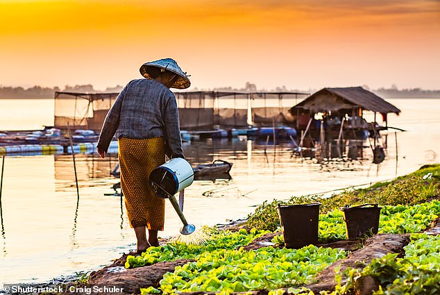 Cambodia? It’s wild! Skip Angkor Wat and explore this country’s natural wonders for an epic adventure