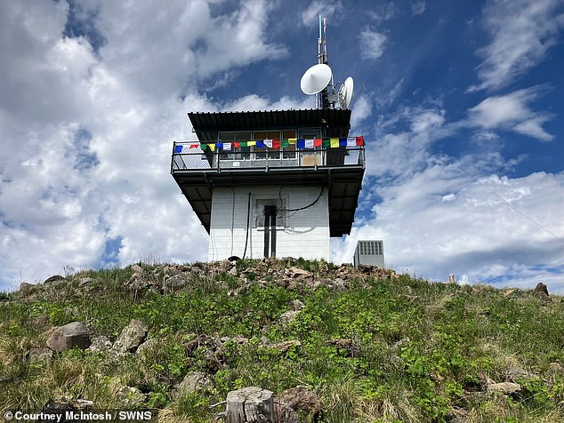 I live in a 14ft x 14ft fire lookout in the forests of New Mexico – my ultra-remote home has no running water and the closest store is 35 MILES away