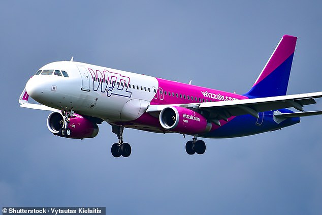 ‘Malfunctioning bots and rip-off premium-rate phone lines’: Which? tests customer service responses at eight major airlines, with Wizz Air, KLM, Ryanair and Vueling rated the worst