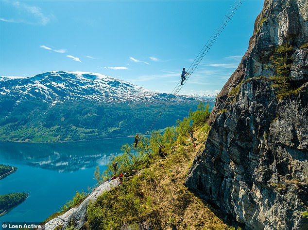 Pictured: The nail-biting mountain ladder in Norway 2,600ft above sea level – with people who climb it appearing to ‘float in the air’. Would YOU dare tackle it?