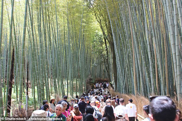 The holiday hotspots that DON’T live up to social media hype… and the ones that DO, from a U.S attraction that always ‘disappoints school kids’ to a natural wonder ‘straight out of Avatar’