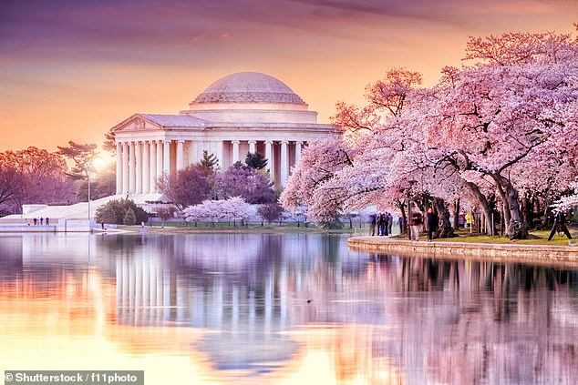 With all eyes on Washington and the White House race, NEIL DARBYSHIRE visits the US capital… and is impressed by its history and architectural grandeur