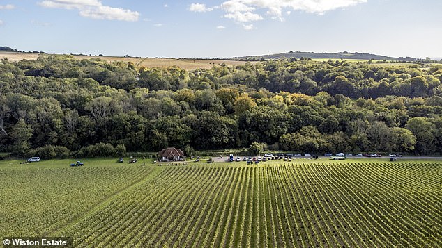 A corking great vine tour: Hiking from one Sussex vineyard to the next can be thirsty work – but the rewards keep coming