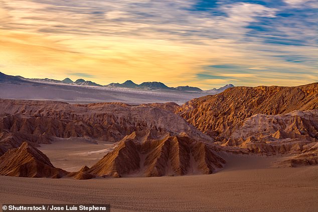 Arid, remote and irresistible: Not much grows in Chile’s Atacama desert – except your appreciation of its wonders