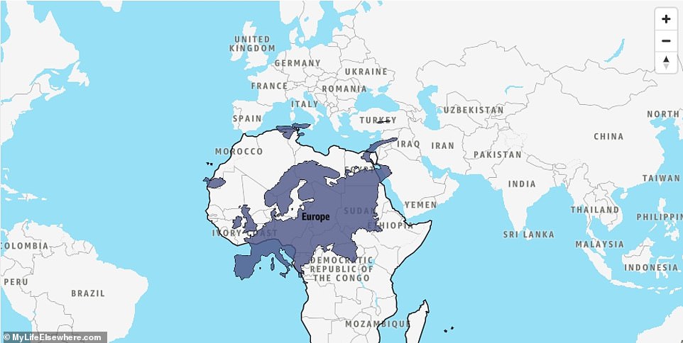 Fascinating size-comparison maps reveal how big countries and continents REALLY are, with the UK smaller than California… and Africa swamping Australia