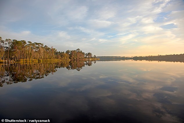 Forget Orlando and Miami – I’ve been to Florida over 40 times and there are plenty of great places to visit elsewhere. Here are my 13 picks, from ‘serene islands’ to wellness havens