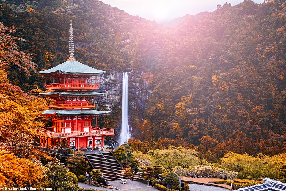 Fourteen breathtaking pictures of Japan that will make you want to book a trip – from castaway islands to a shrine that ‘appears to float on water’