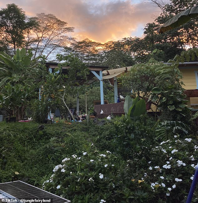 I live in a DIY home off-grid in the rainforest in Hawaii with my family… here’s how we survive and why I’d never return to modern living (despite the lava and earthquakes)