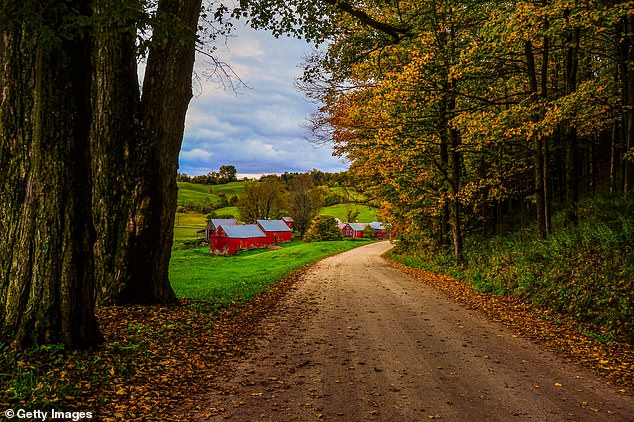 Instagram tourists banned from Vermont fall foliage hotspot after causing chaos