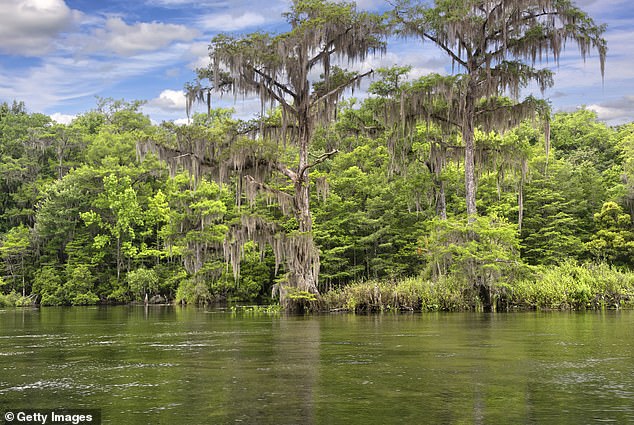 Florida swamp volcano mystery leaves scientists baffled