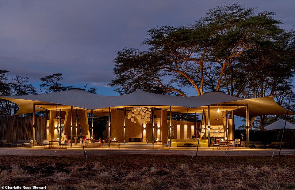 Inside a £19,000 ‘Lion King’ safari holiday, with Mount Kilimanjaro as a magical backdrop and a stay at a stunning lodge where the animal cast of the movie roam in spectacular numbers