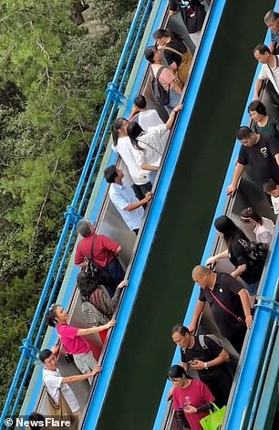 Pictured: The giant escalators that China installed to save tourists the effort of hiking up mountains