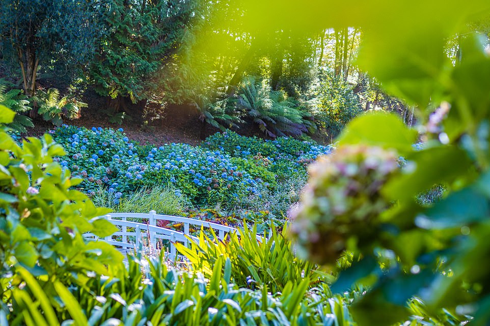 Inside the stunning Cornish lodge with after-hours access to one of the most beautiful gardens in England – and a secret beach