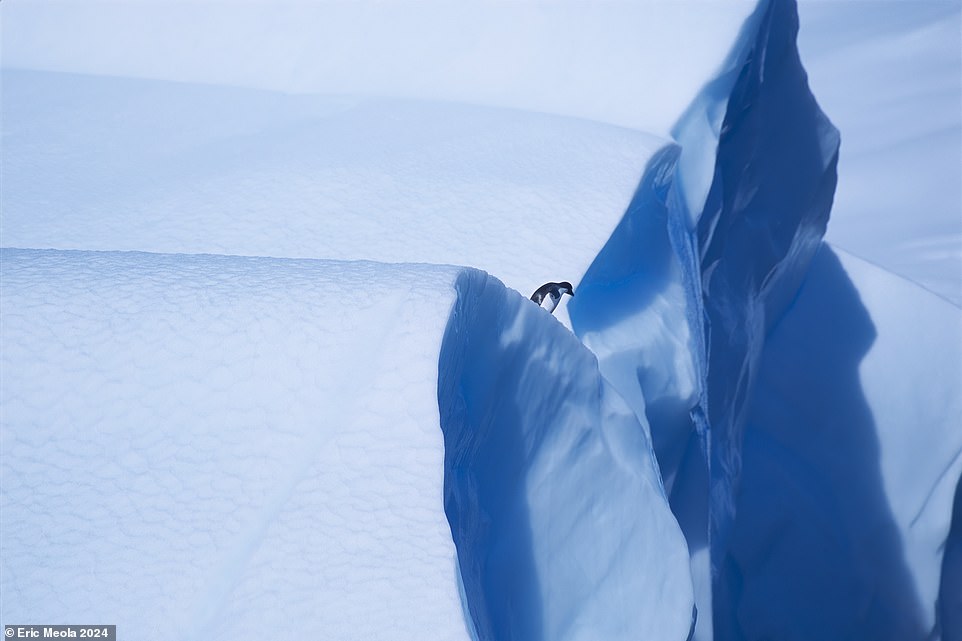 Legendary Bruce Springsteen photographer’s iconic travel images showcased in lavish new coffee-table book, from storms in South Dakota to penguins in Antarctica