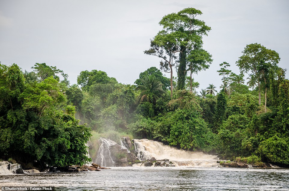 The 30 best places to visit in 2025 named by Lonely Planet: Cameroon, Toulouse, Pittsburgh and East Anglia are among the places you MUST explore next year