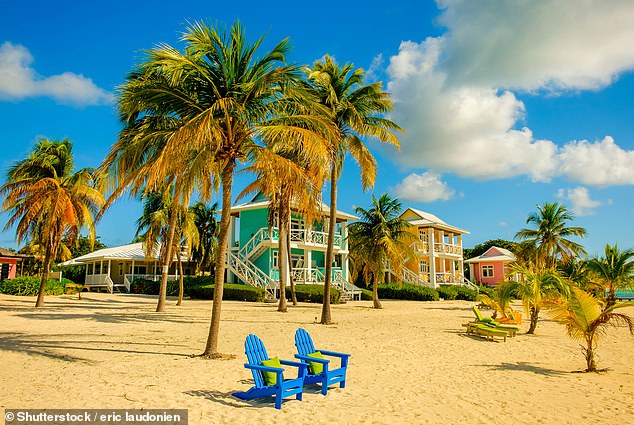 This Caribbean tax haven might seem to be all about money, with £400 cocktails and hedge-fund offices, but there are natural riches too – from exotic wildlife to dazzling beaches