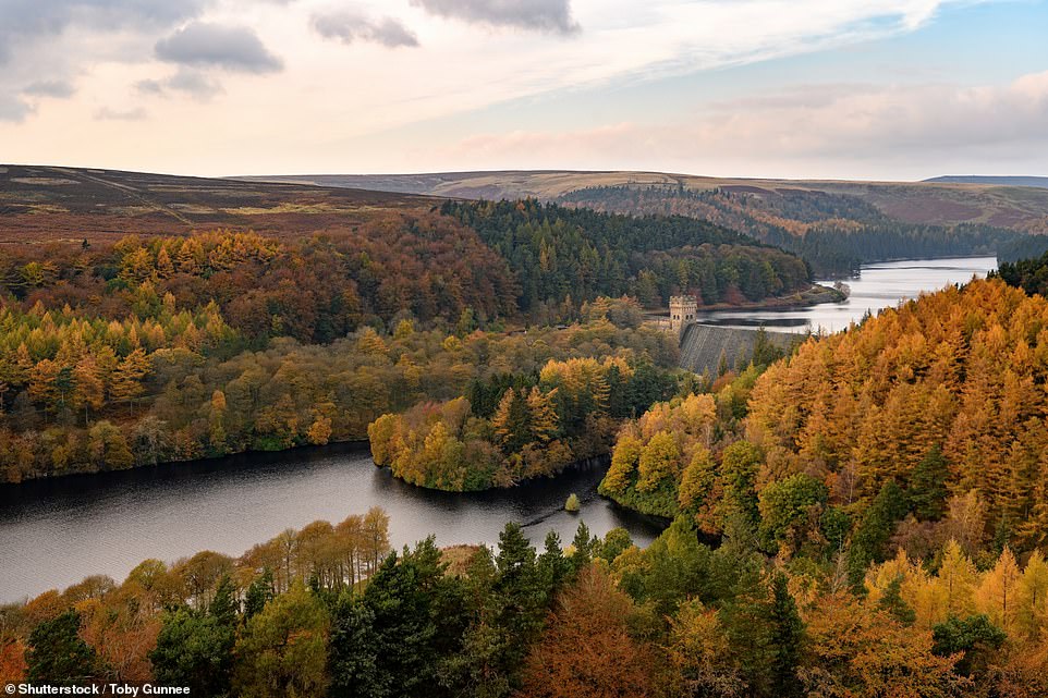 Twelve breathtaking pictures of Britain smothered in autumn colours, from meandering rivers to magical tree ‘tunnels’ and spectacular Highland valleys