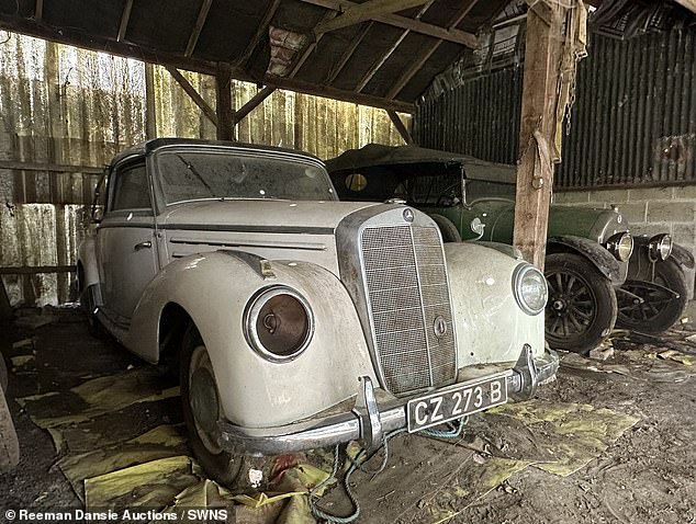 Incredible treasure trove of vintage Mercedes cars found in rural barn in Essex after collecting dust for 40 YEARS sell for thousands