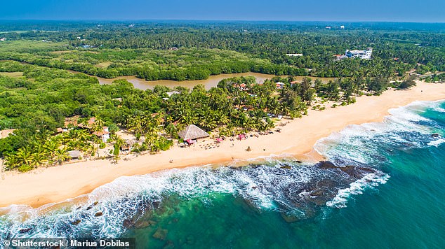 It’s safe, the wildlife is amazing and the locals LOVE tourists: My incredible holiday on Sri Lanka’s bountiful south coast