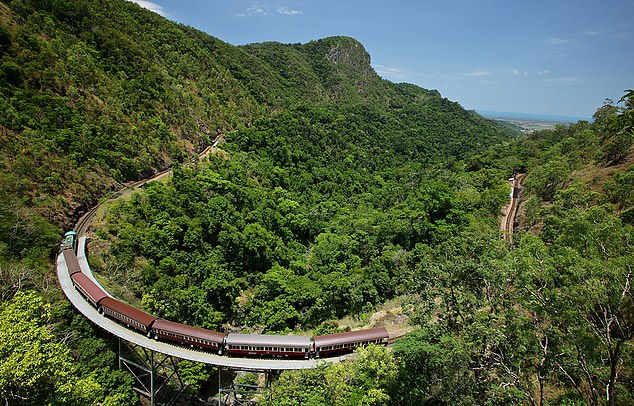 My ride on the incredible Australian train that snakes through lush rainforest to a station where PYTHONS slither along the platform… here’s my footage