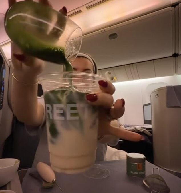 Plane passenger divides opinion after making matcha latte mid-flight