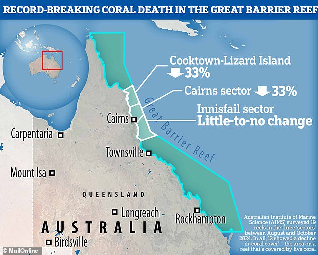 Scientists raise the alarm over record-breaking coral death in the Great Barrier Reef – as they warn we’re inching closer to an irreversible tipping point