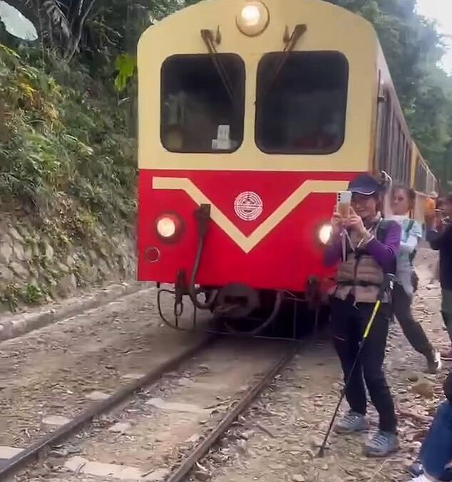 Moment selfie-taking tourist is smashed by on-coming train while posing for a photo… and somehow survives