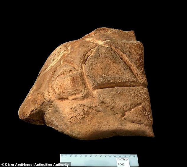 Mysterious turtle sculpture is discovered in Holy Land cave after 35,000 years – and archaeologists believe people may have WORSHIPPED it