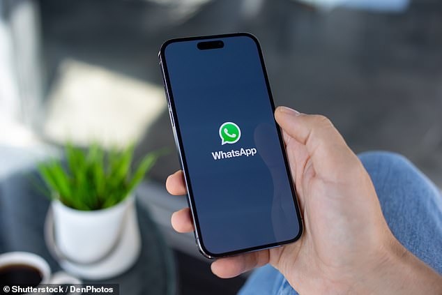 Nearly 75% of Brits have been added to a ‘holiday WhatsApp group’ with 219 messages needed to organise the trip – but a quarter mute the chats to ‘get a break’. So do YOU find them annoying?