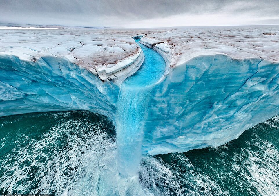 From a jaguar’s ‘kiss’ to ‘majestic giraffes’ and mesmerising glaciers – the breathtaking winning images in the 2024 Travel Photographer of the Year awards revealed. Which is YOUR favourite?